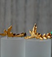 IMG_8811